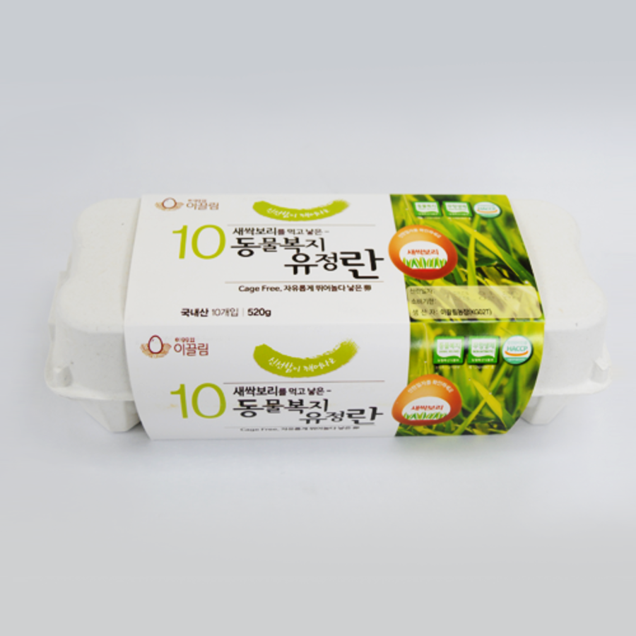 무항생제 유정란 10구