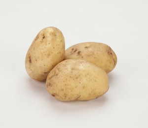 친환경 감자 1kg