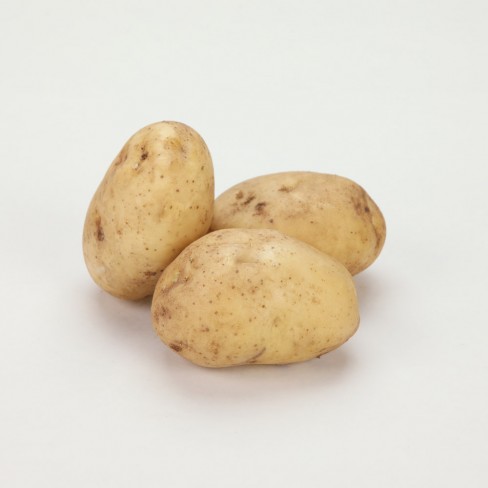 친환경 감자 1kg