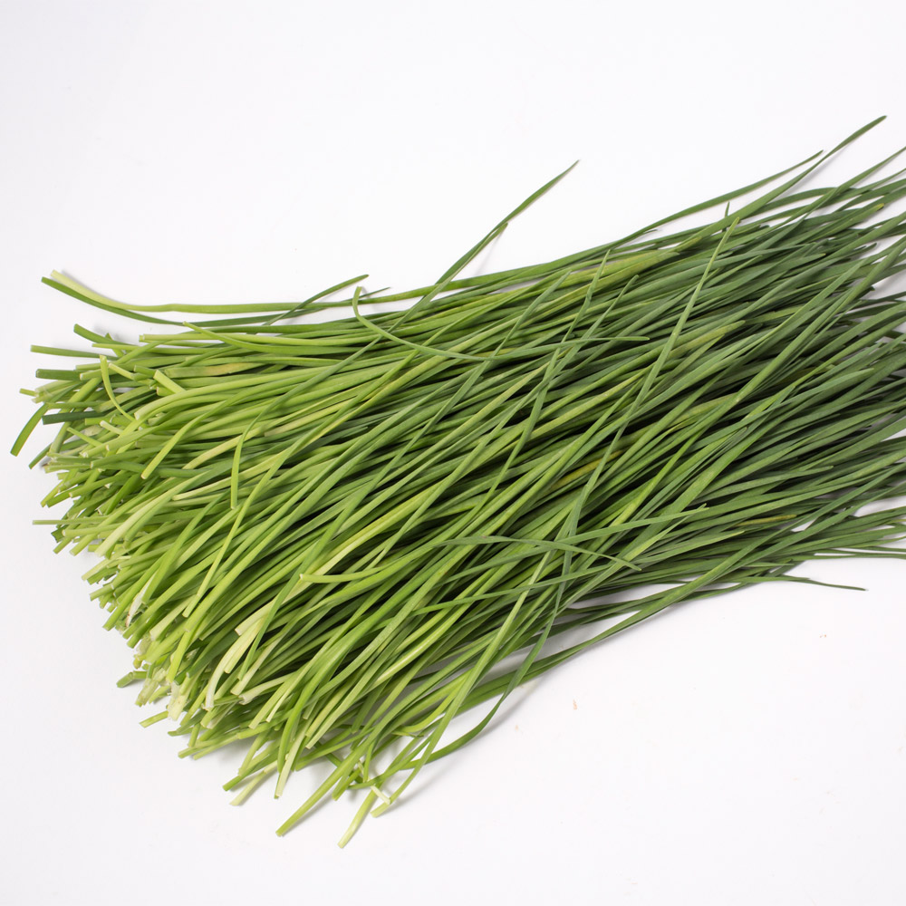 친환경 부추 200g