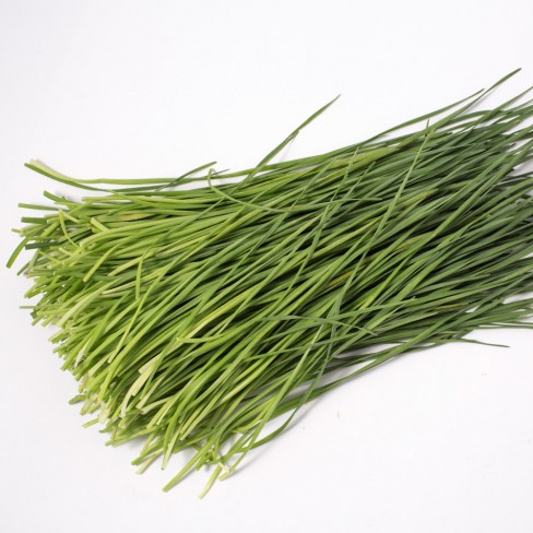 친환경 부추 200g