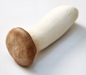 친환경 새송이버섯_(400g/봉)