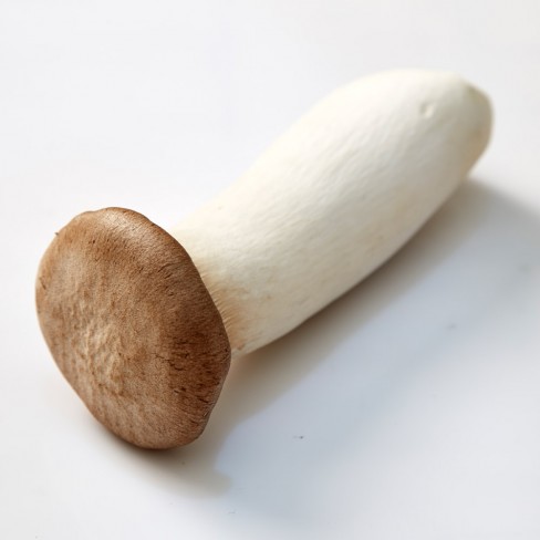 친환경 새송이버섯 400g