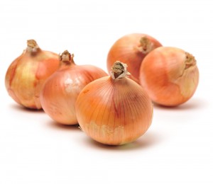 친환경 양파 1kg