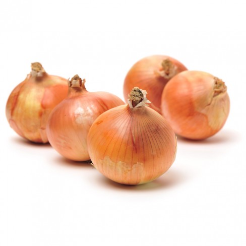 친환경 양파 1kg