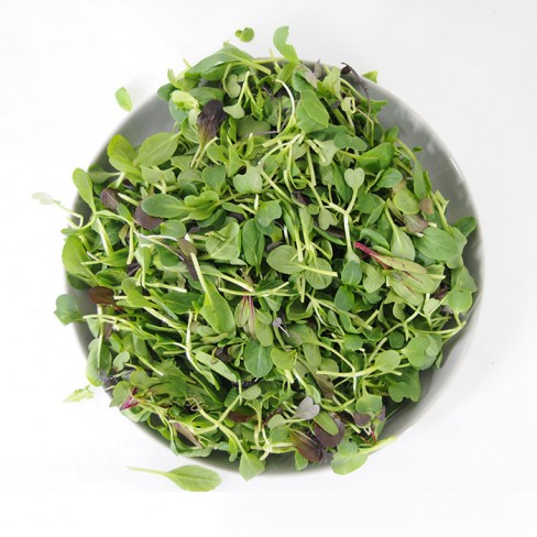 친환경 어린잎채소 50g