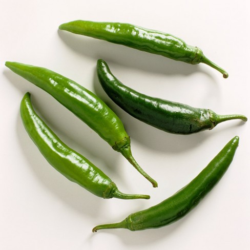 친환경 오이고추 150g