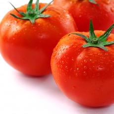 친환경 완숙토마토 1kg
