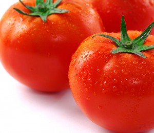 친환경 완숙토마토 1kg