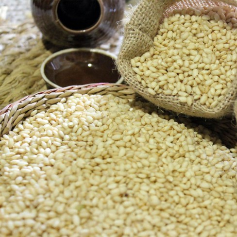 친환경 발아현미 1kg