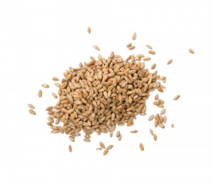 무농약 귀리쌀 1kg