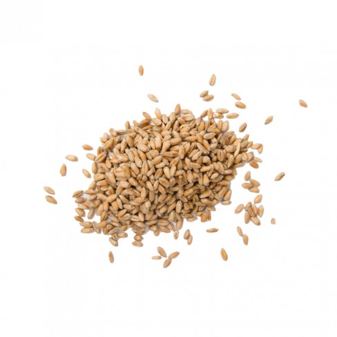 무농약 귀리쌀 1kg
