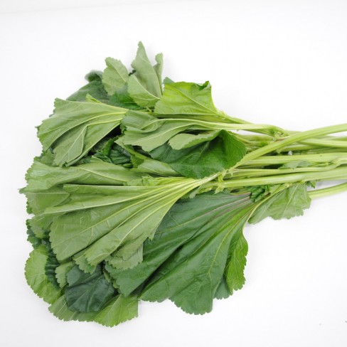 친환경 아욱 300g