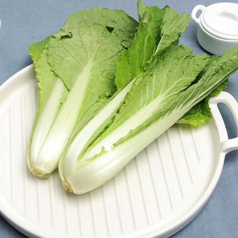 친환경 얼갈이배추 500g