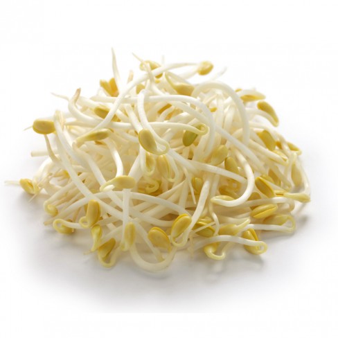 친환경 콩나물 400g 5/12입고예정