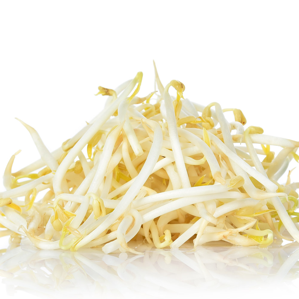 친환경 숙주나물 300g 5/12입고예정