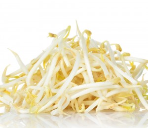 친환경 숙주나물 300g