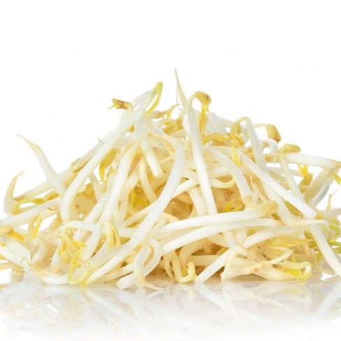 친환경 숙주나물 300g 5/12입고예정