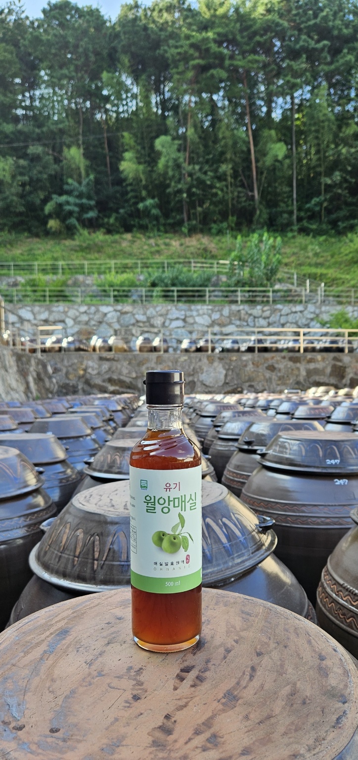 유기농 매실원액 500ml