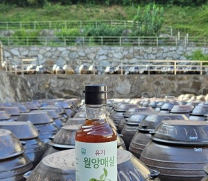 유기농 매실원액 500ml