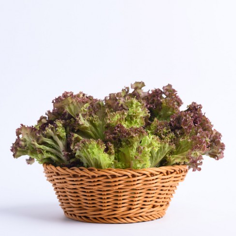 친환경 적상추 200g