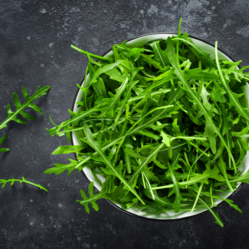 친환경 와일드루꼴라 50g